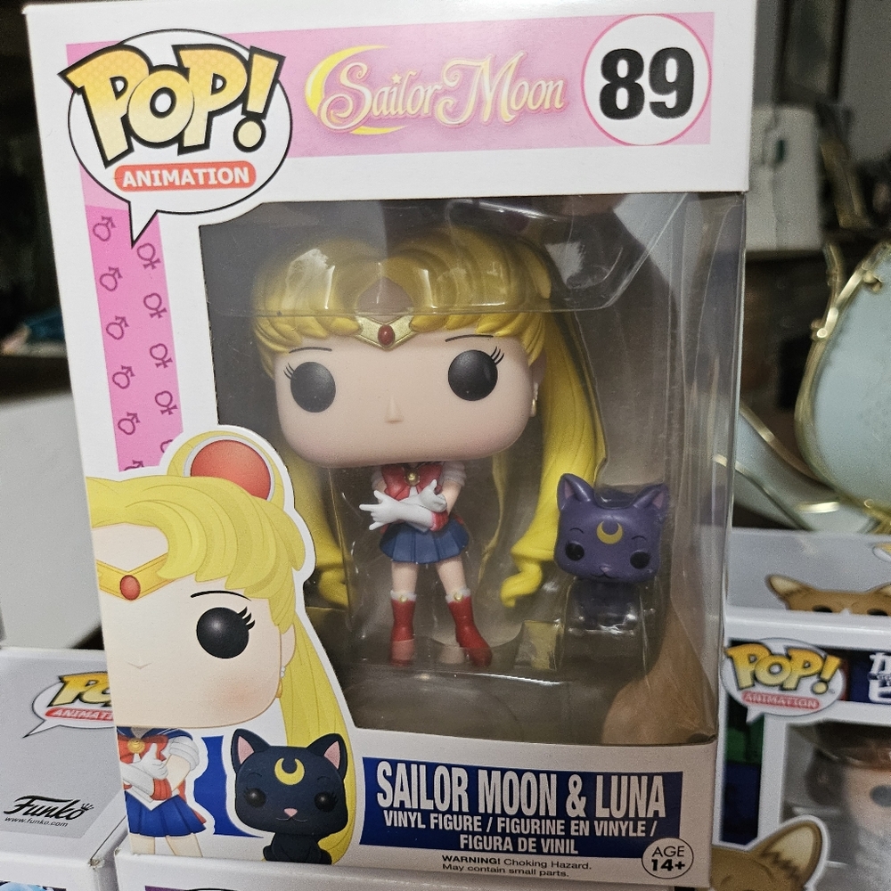 Sailor Moon And Luna Pop